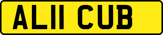 AL11CUB