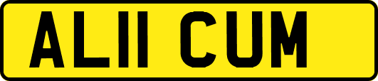 AL11CUM
