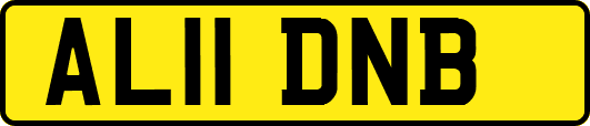 AL11DNB