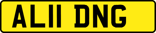 AL11DNG