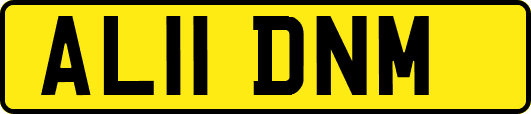 AL11DNM