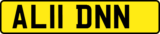 AL11DNN