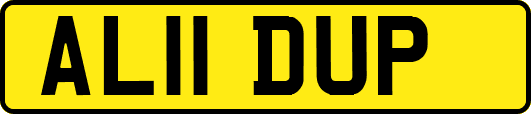 AL11DUP