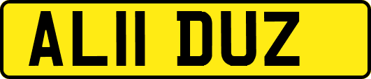 AL11DUZ