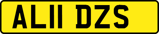 AL11DZS