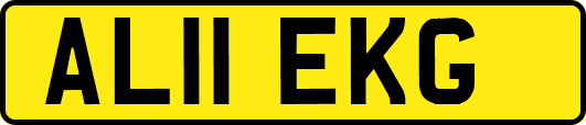 AL11EKG