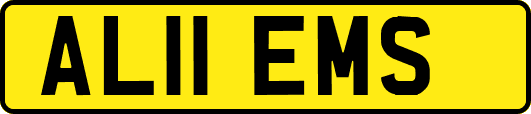 AL11EMS