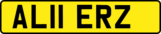 AL11ERZ