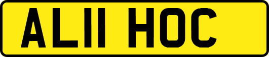 AL11HOC