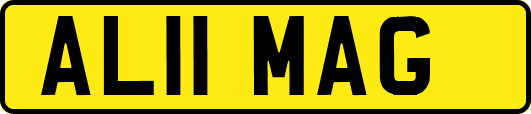 AL11MAG
