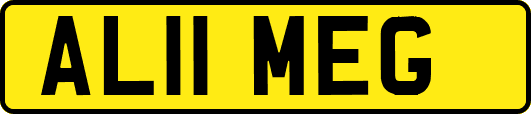 AL11MEG