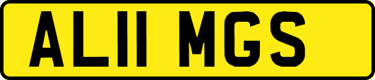 AL11MGS