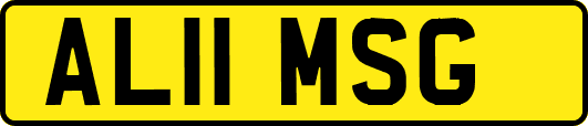 AL11MSG