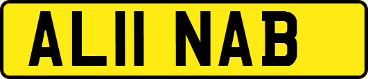 AL11NAB