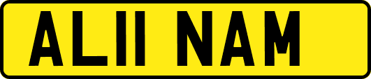 AL11NAM