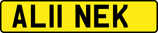 AL11NEK