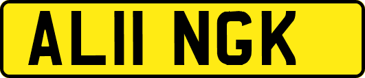 AL11NGK