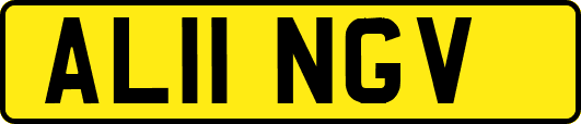 AL11NGV
