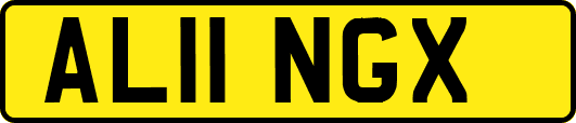 AL11NGX