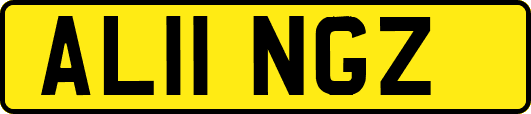 AL11NGZ