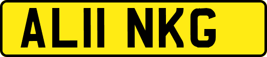 AL11NKG