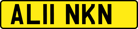 AL11NKN