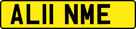 AL11NME
