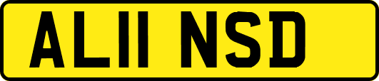 AL11NSD