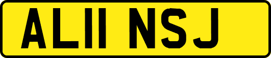 AL11NSJ