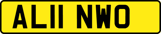 AL11NWO