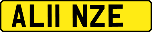 AL11NZE