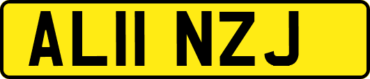 AL11NZJ