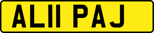 AL11PAJ