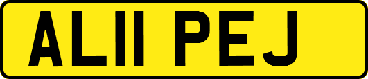 AL11PEJ