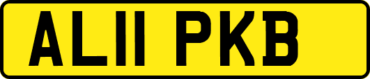 AL11PKB