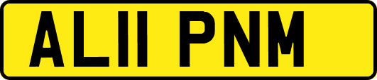 AL11PNM