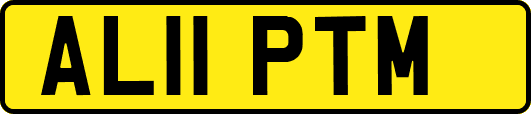 AL11PTM