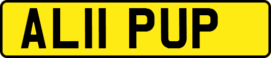 AL11PUP