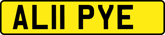 AL11PYE
