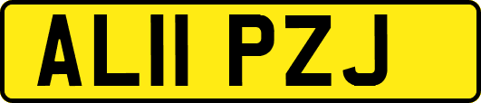 AL11PZJ
