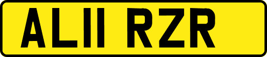 AL11RZR