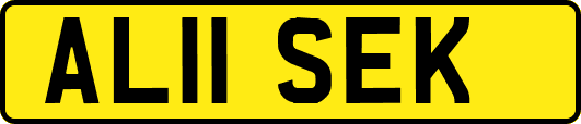 AL11SEK