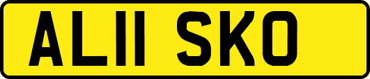 AL11SKO