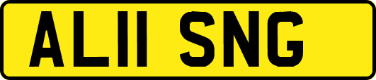 AL11SNG