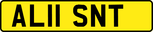 AL11SNT