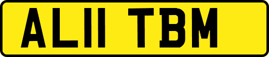 AL11TBM
