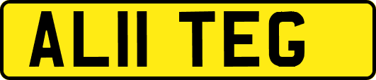 AL11TEG