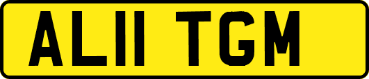 AL11TGM