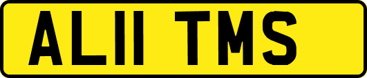AL11TMS
