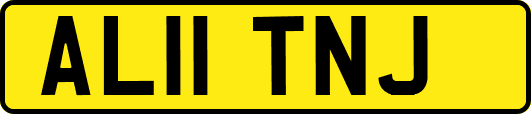 AL11TNJ